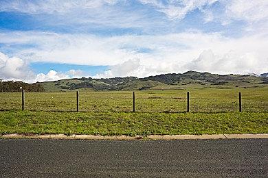 Xbox营销主管离职 微软将重组Xbox营销团队